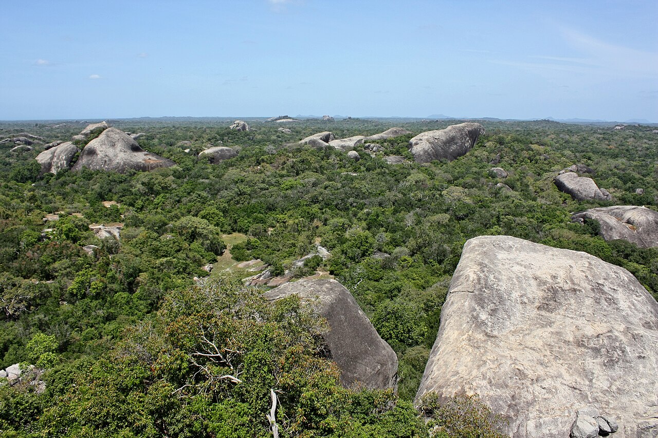 Landscape in Kumana National Park, Sri Lanka